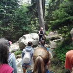 img_20170614_140131-kopiowanie